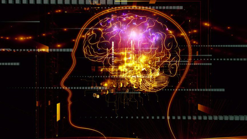 Brain circuit-large crop