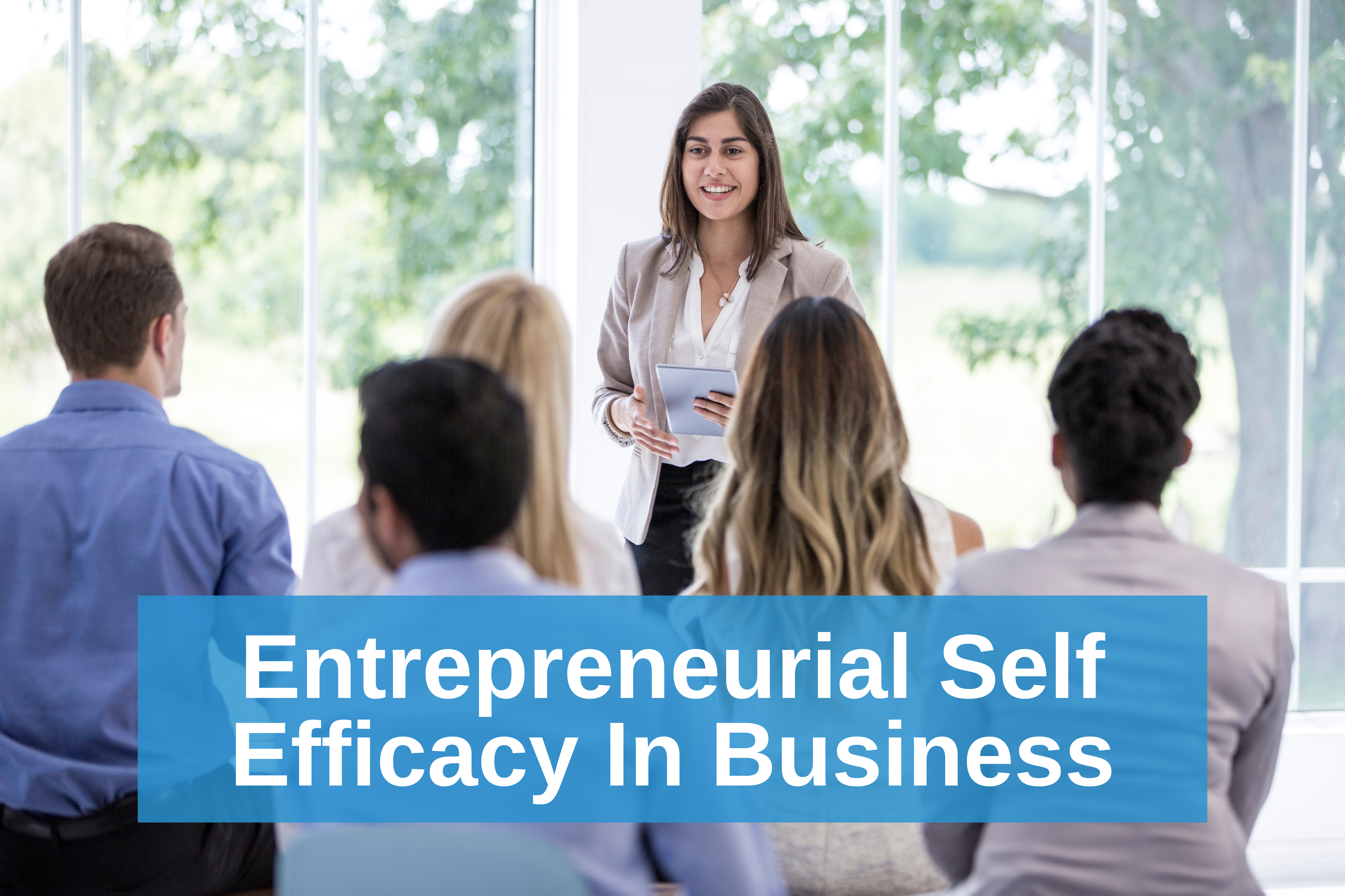Entrepreneurial Self Efficacy In Business
